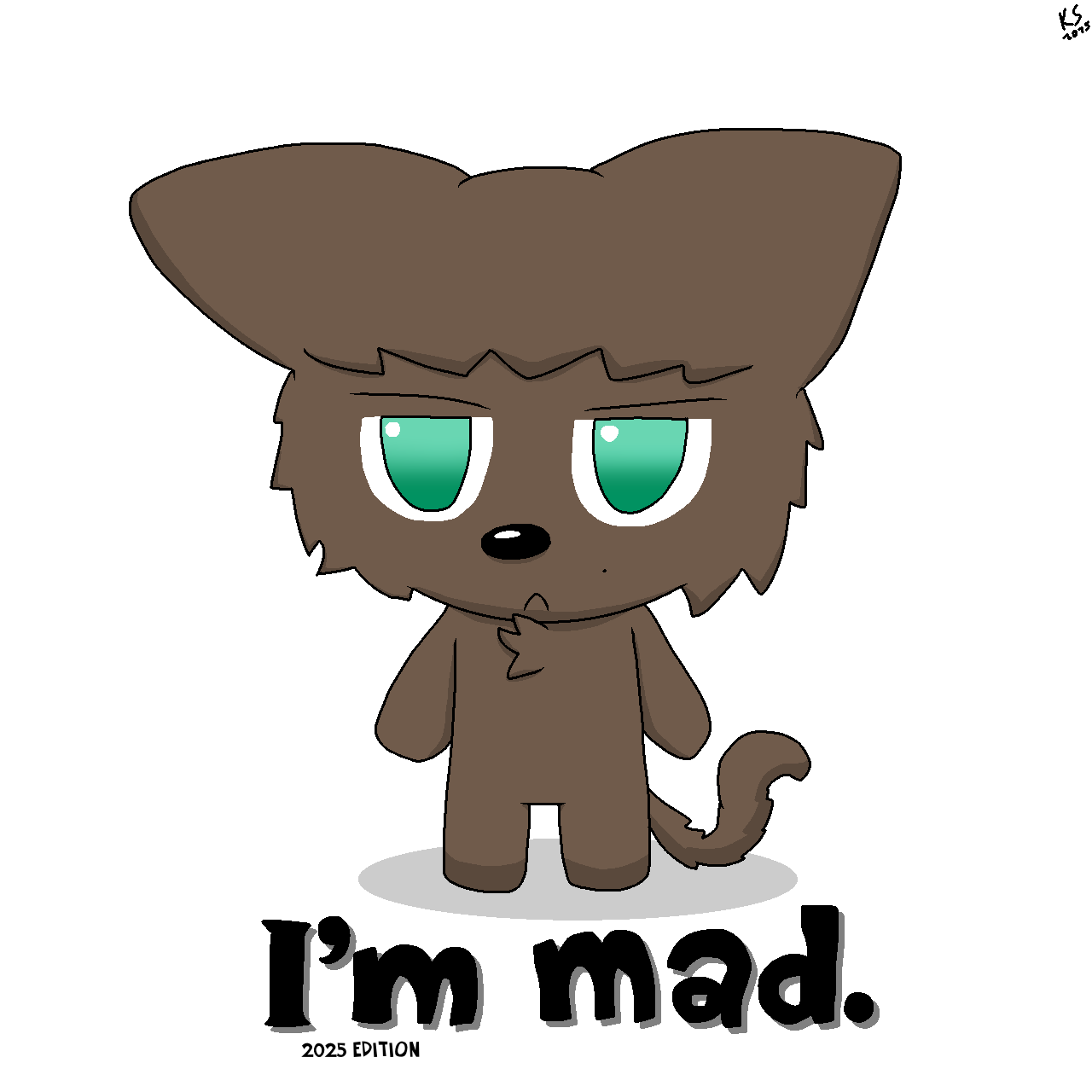 I'm mad. 2025